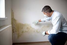 Best Mold Odor Removal Services  in Healdsburg, CA